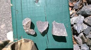 10320605_841554735873125_128318544882826684_n