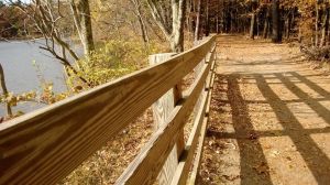 1381963_726254250736508_303600682_n